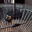 Ino Metal Table Lamp - 39.6 cm-household-lighting-tableanddesklamps-image-9