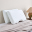 Chamomile Infused Medium Firm Memory Foam 1-Piece Pillow - 45x70 cm-household-bedding-pillows-image-1
