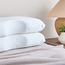 Chamomile Infused Medium Firm Memory Foam 1-Piece Pillow - 45x70 cm-household-bedding-pillows-image-3