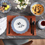 لبادة صحون بشكل جلد-household-dining-tablelinen-placemats-image-1