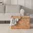 صندوق كبير - لين- 44 سم-household-storage-storagesolutions-trunks-image-2