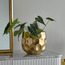 QueenBee Honeycomb Planter - 21 cm-household-gardenandoutdoor-potsandplanters-planters-image-1