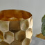 QueenBee Honeycomb Planter - 21 cm-household-gardenandoutdoor-potsandplanters-planters-image-3