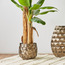 إناء زرع بتصميم خلية نحل - كوين بي-household-gardenandoutdoor-potsandplanters-planters-image-4