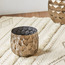 إناء زرع بتصميم خلية نحل - كوين بي-household-gardenandoutdoor-potsandplanters-planters-image-3