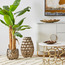 إناء زرع بتصميم خلية نحل - كوين بي-household-gardenandoutdoor-potsandplanters-planters-image-1