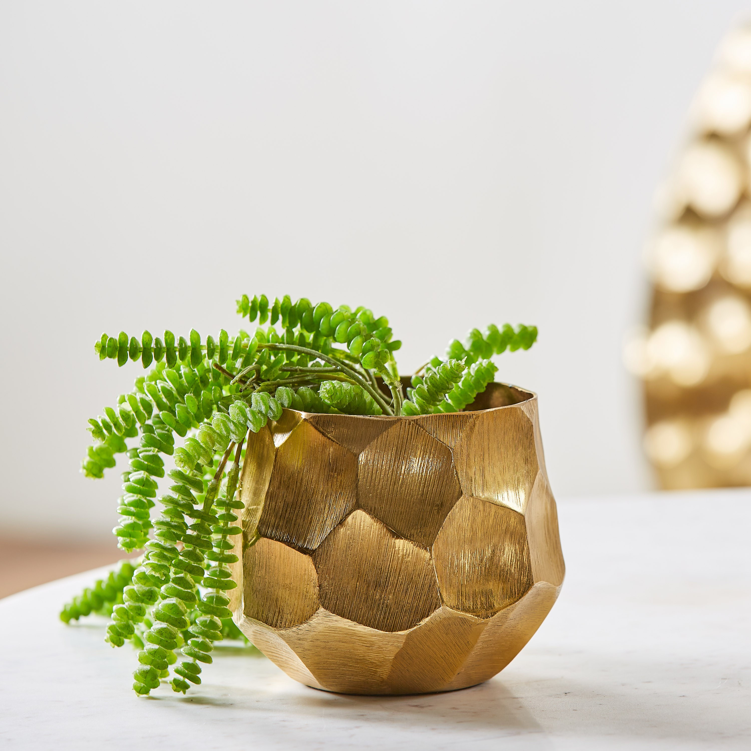 QueenBee Honeycomb Planter - 12 cm-household-gardenandoutdoor-potsandplanters-planters-image-1