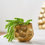 إناء زرع بتصميم خلية نحل - كوين بي - 12 سم-binpromo_KSA_Alrajhi_17062026-image-4
