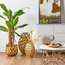 إناء زرع بتصميم خلية نحل - كوين بي - 12 سم-binpromo_KSA_Alrajhi_17062026-image-1