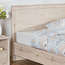 Neptune Single Bed - 120x200 cm-PROMO_HC_SA_TESTBINPROMO_080926-image-3