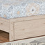 Neptune Single Bed - 120x200 cm-PROMO_HC_SA_TESTBINPROMO_080926-image-4