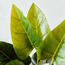 نبتة فيلوديندرون داخل إناء زرع-household-gardenandoutdoor-artificialplants-pottedplants-image-2