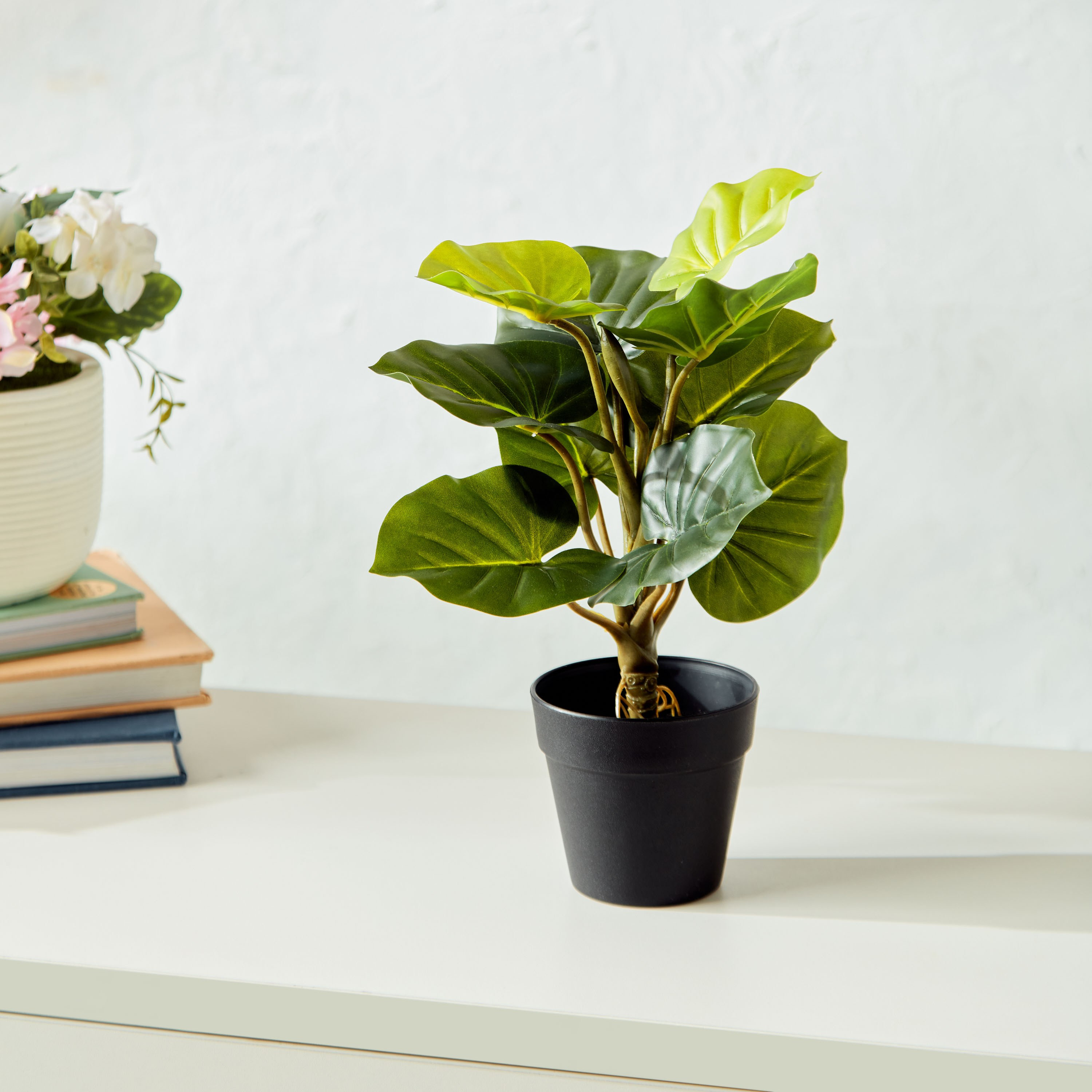 Colocasia in Pot-household-gardenandoutdoor-artificialplants-pottedplants-image-1