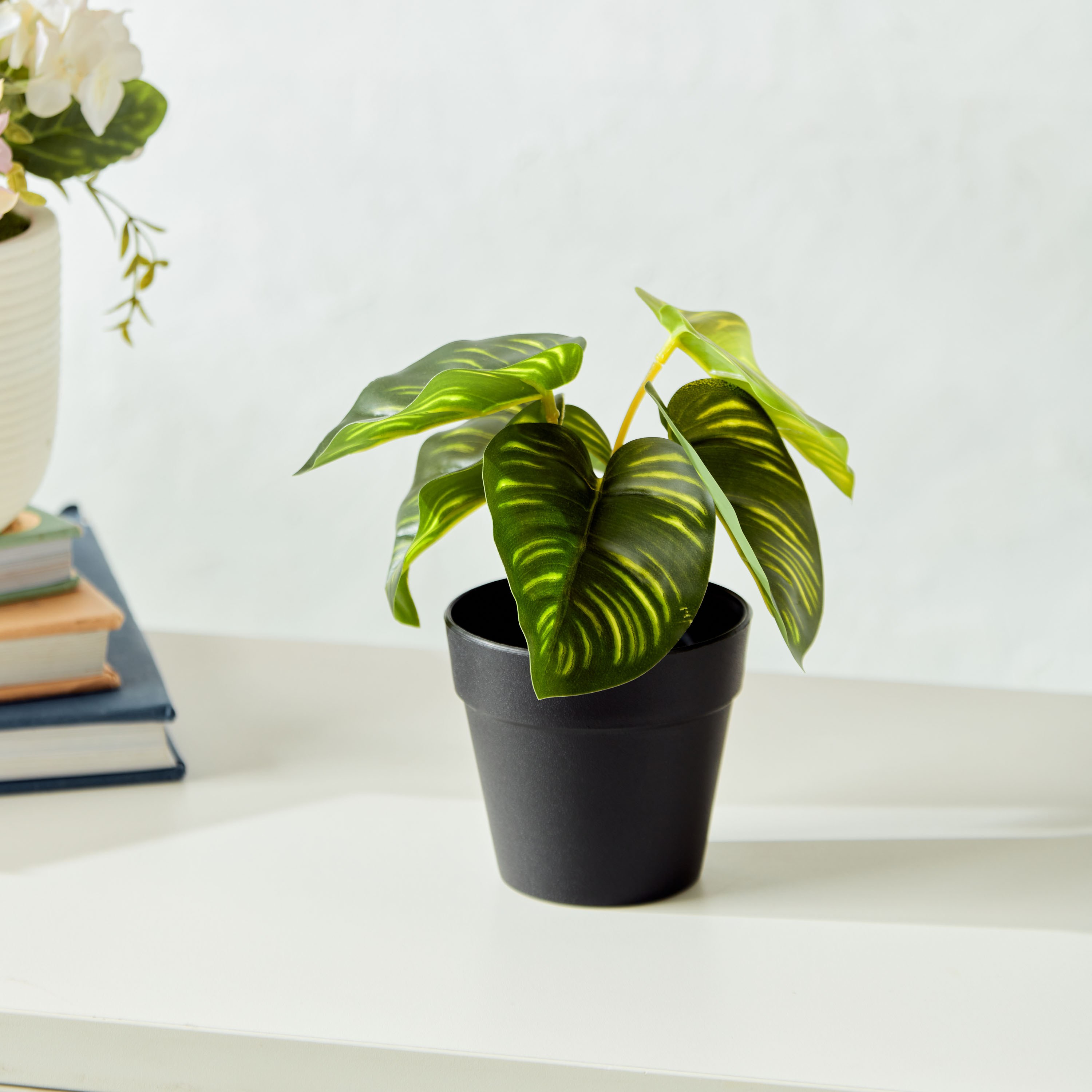 Dieffenbachia in Pot-household-gardenandoutdoor-artificialplants-pottedplants-image-1