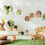 Dieffenbachia in Pot-Voucher_HCOC_ALL_25022025-image-3