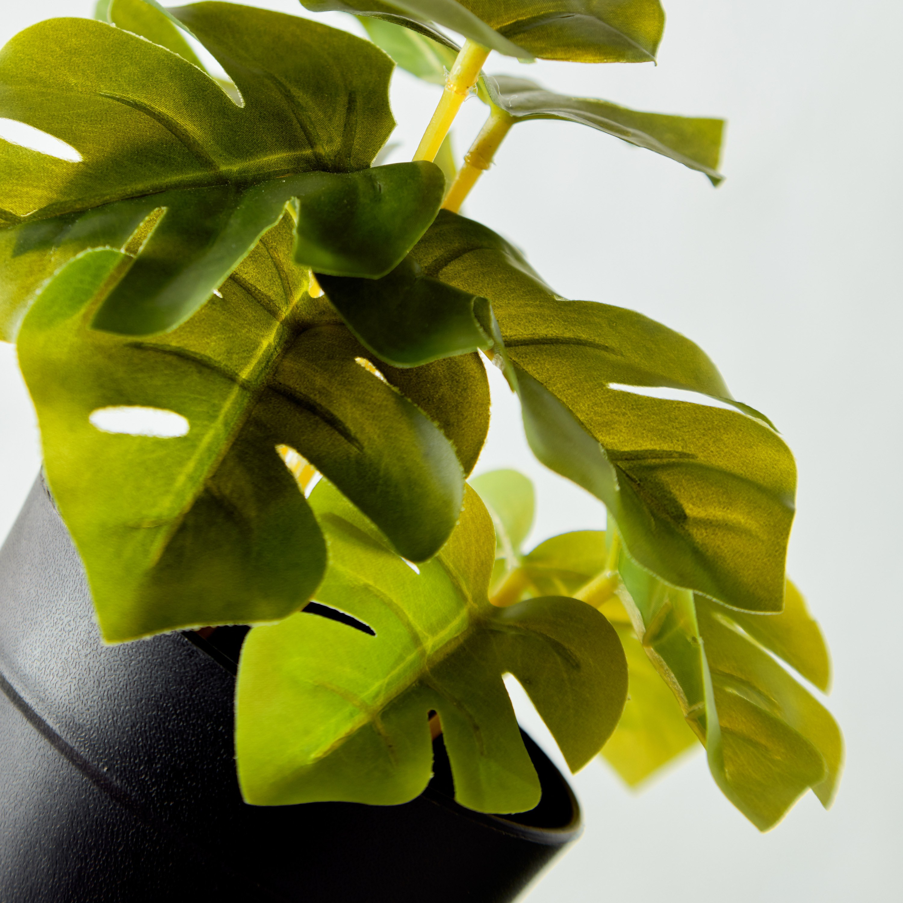 Monstera in Pot-household-gardenandoutdoor-artificialplants-pottedplants-image-2