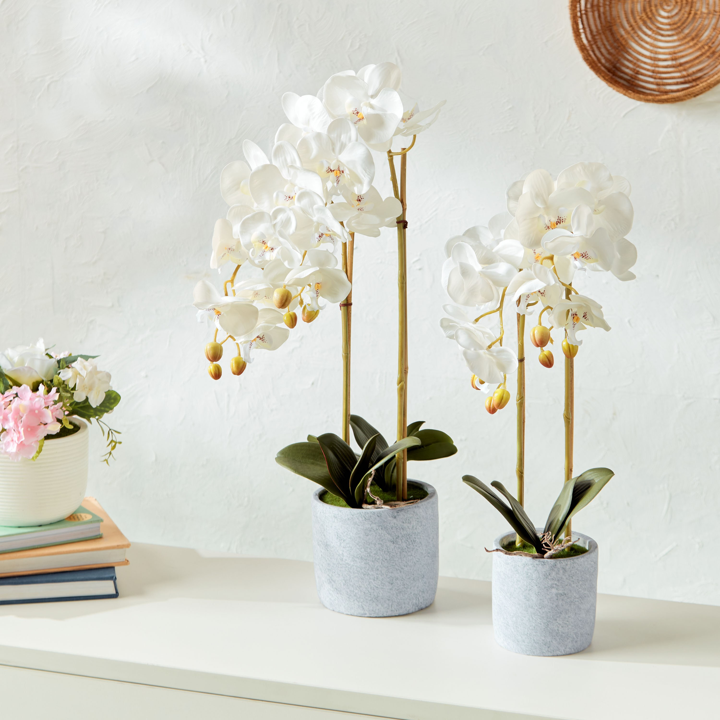 Orchid in Cement Pot-household-gardenandoutdoor-artificialflowersandplants-flowers-image-2