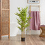 Bamboo Tree - 120 cm-household-gardenandoutdoor-trees-image-1