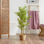 Bamboo Tree - 120 cm-household-gardenandoutdoor-trees-image-2