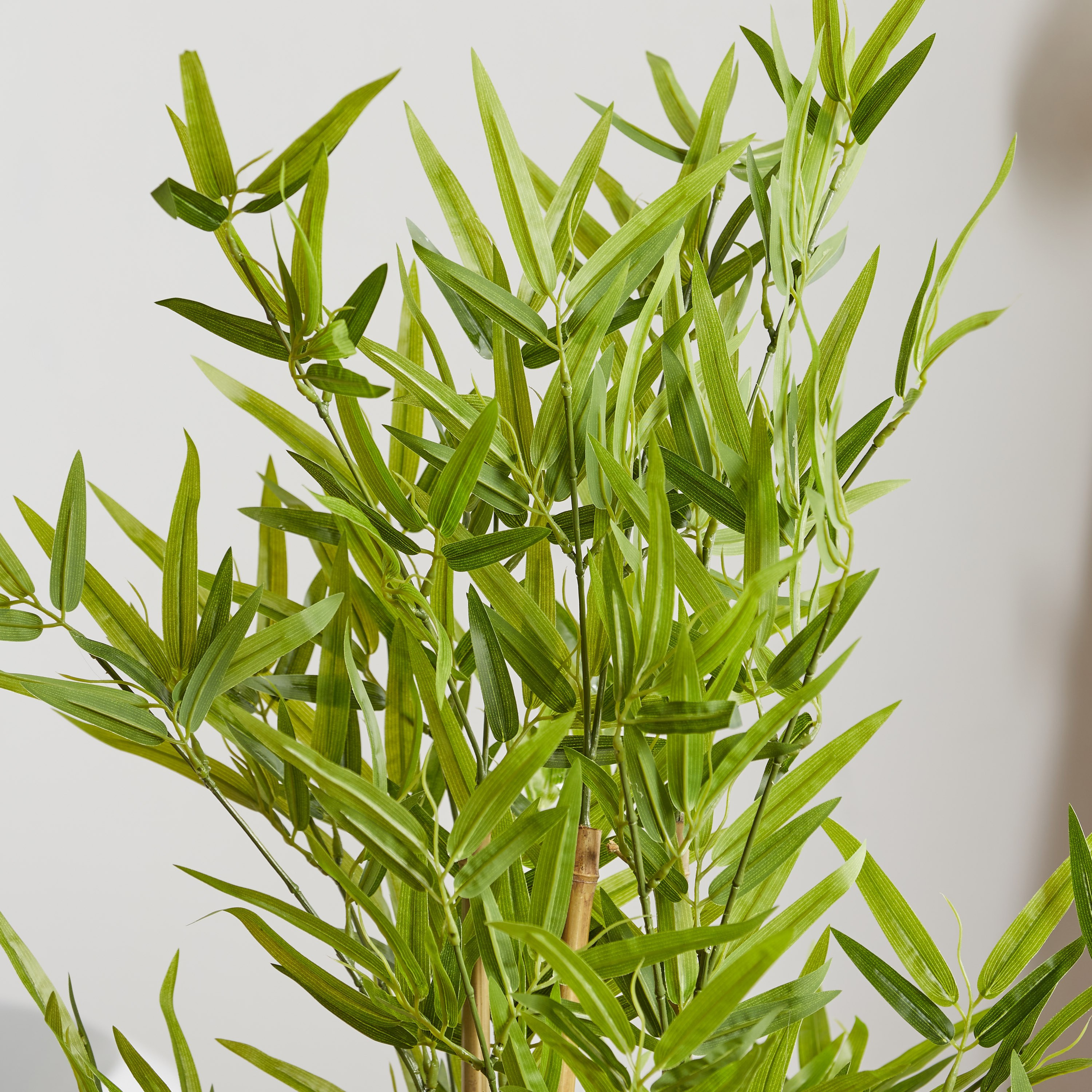 Bamboo Tree - 120 cm-household-gardenandoutdoor-trees-image-3