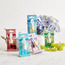Ambientair Dama Noche Car Freshner-staff_HC_OM_discountpromo_20042020-image-3