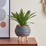 Ceramic Planter with Wooden Legs - 25 cm-household-gardenandoutdoor-potsandplanters-planters-image-1
