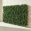 تعريشة قابلة للتوسيع - 100x200 سم-household-gardenandoutdoor-trellisandstands-trellis-image-4