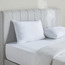 شرشف مطاطي كوين عدد خيوط 200 قطن بركال - سيرينيتي - 160x200 سم-household-bedding-sheetsandpillowcases-fittedsheets-image-3