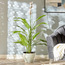إناء زرع من سيفرن-binpromo_ALLBANKS_OMN_14032025-image-4