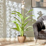 إناء زرع من سيفرن-binpromo_ALLBANKS_OMN_14032025-image-4