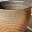إناء زرع من سيفرن-binpromo_ALLBANKS_OMN_14032025-image-2
