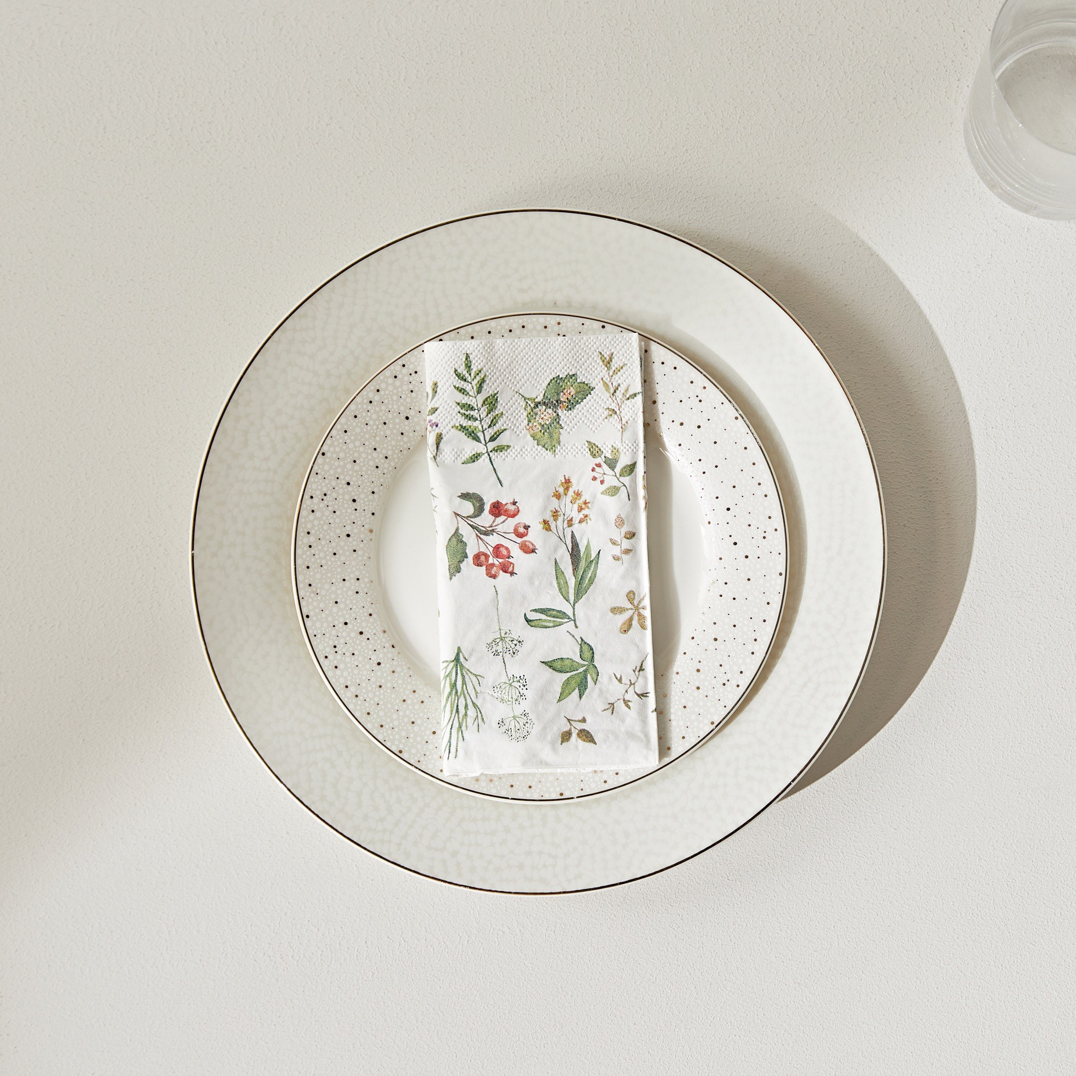 Ferns Napkin - 33x33 cm, Set of 20-household-dining-tablelinen-napkinsandaccessories-image-3