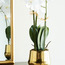 Orchid in Pot - 65 cm-household-gardenandoutdoor-artificialflowersandplants-flowers-image-3