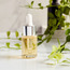 زيت عطري 15 مل - لاكروس بومبلمو-household-homefragrance-fragranceoilsandessence-image-4