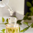 زيت عطري 15 مل - لاكروس بومبلمو-household-homefragrance-fragranceoilsandessence-image-2