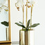 Orchid in Pot - 60 cm-household-gardenandoutdoor-artificialflowersandplants-flowers-image-2