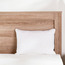 Luxury Feather Cushion - 30x45 cm-household-cushionsandthrows-filledcushions-cushioninserts-image-1