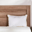 Microfibre Cushion - 30x45 cm-binpromo_ALLBANKS_OMN_14032025-image-1