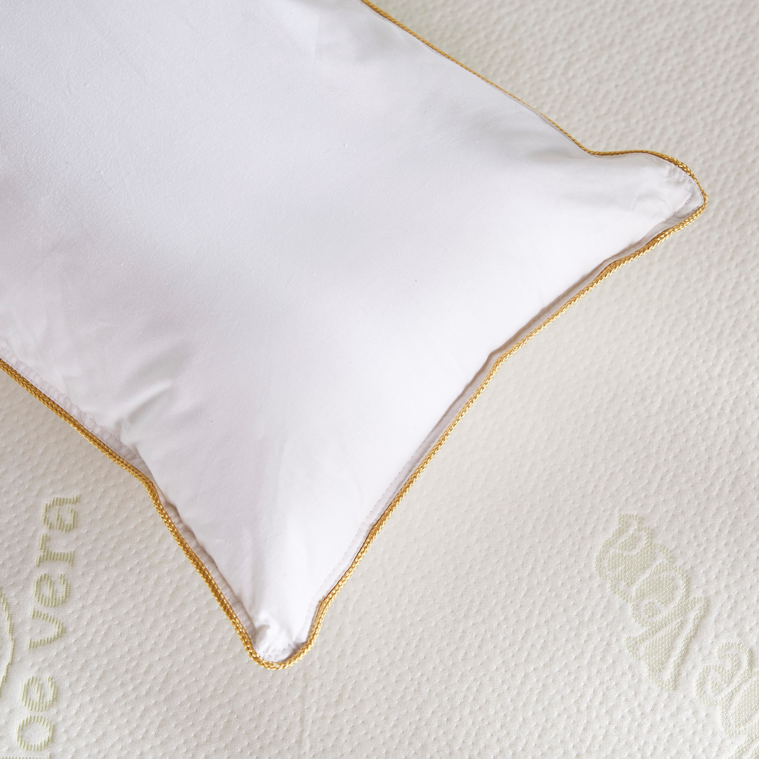 Microfibre Cushion - 30x45 cm-household-cushionsandthrows-filledcushions-cushioninserts-image-2
