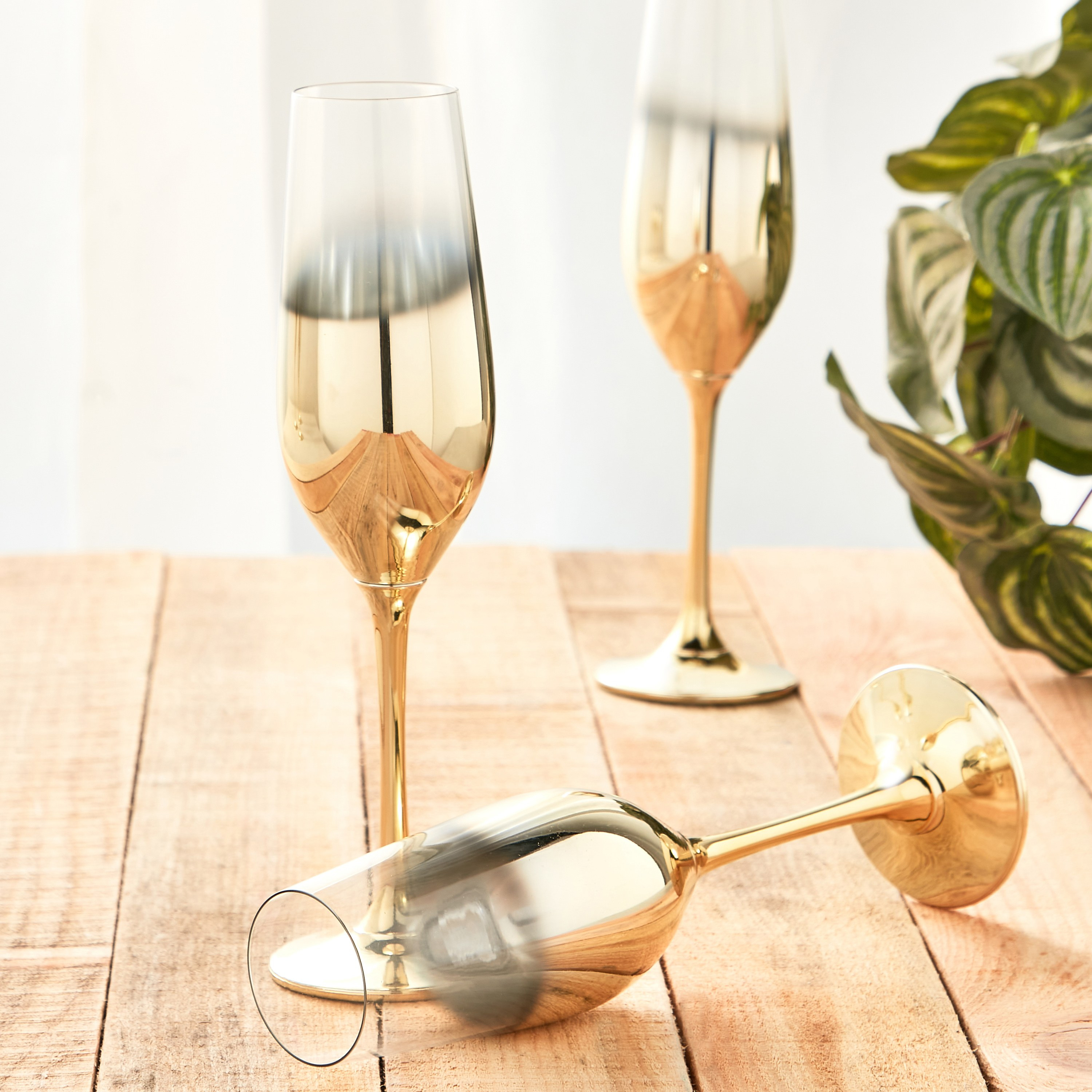 Triton 6-Piece Stemware Glass Set - 235 ml-household-dining-glassware-stemware-image-5