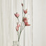 Yulan Flowers Stem - 113 cm-household-gardenandoutdoor-artificialflowersandplants-stems-image-1