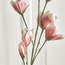 Yulan Flowers Stem - 113 cm-household-gardenandoutdoor-artificialflowersandplants-stems-image-2