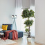 Ruby Plastic Planter - 27 cm-Voucher_HCOC_ALL_25022025-image-4