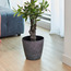 Ruby Plastic Planter - 27 cm-Voucher_HCOC_ALL_25022025-image-1