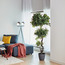 Ruby Plastic Planter - 27 cm-Voucher_HCOC_ALL_25022025-image-4