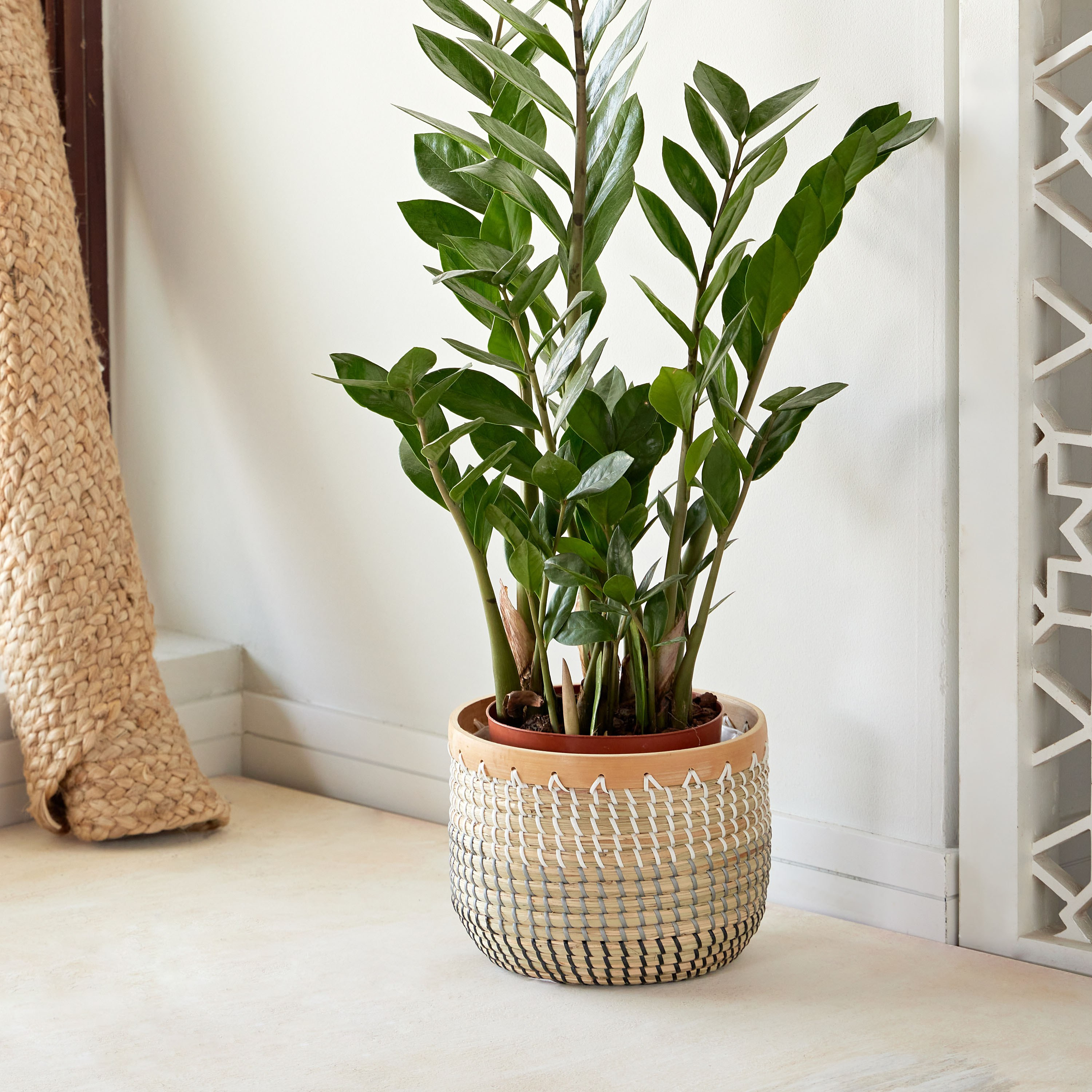Bali Rattan Planter - 23 cm-household-gardenandoutdoor-potsandplanters-planters-image-1