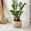 Bali Rattan Planter - 23 cm-household-gardenandoutdoor-potsandplanters-planters-image-1
