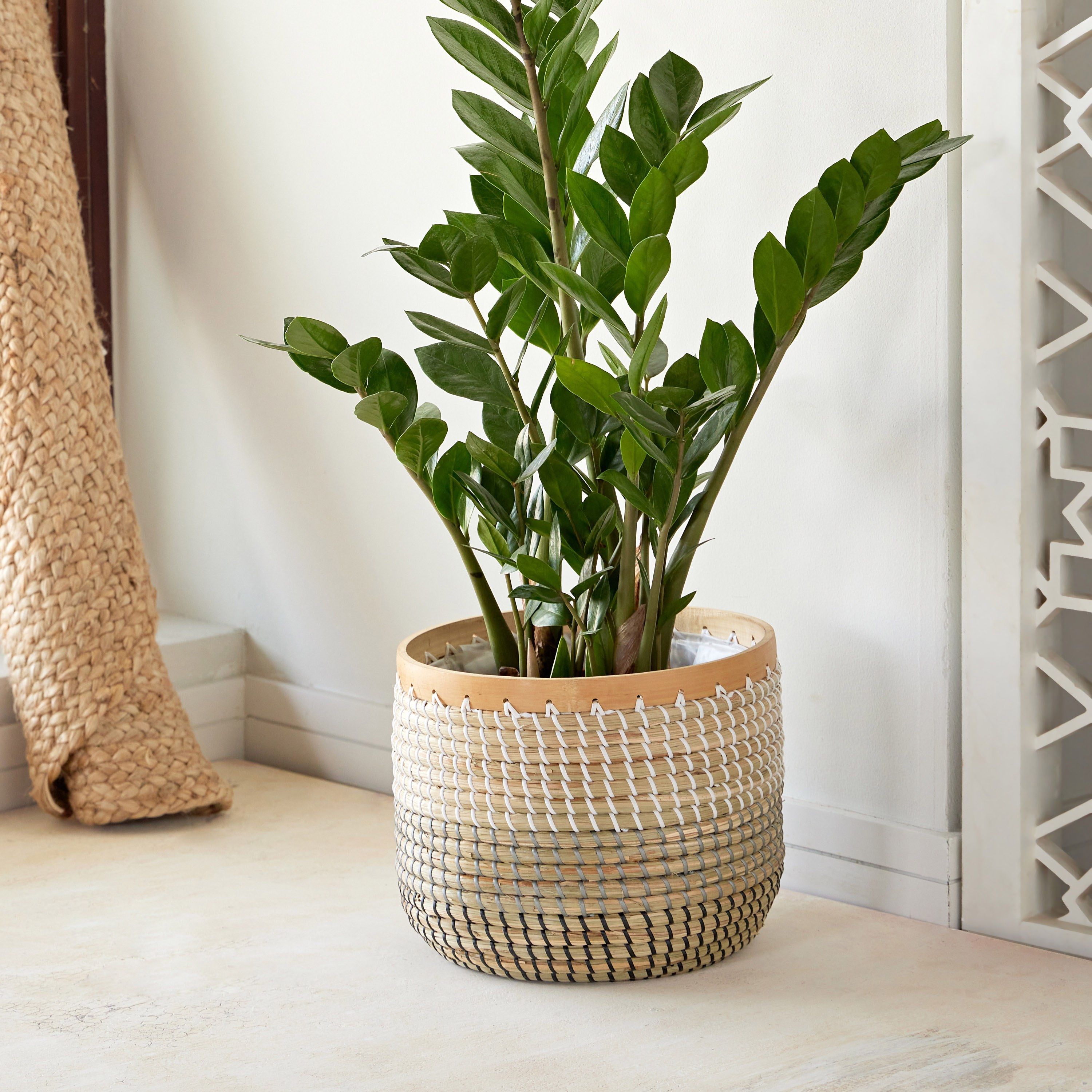 Bali Rattan Planter - 28 cm-household-gardenandoutdoor-potsandplanters-image-1