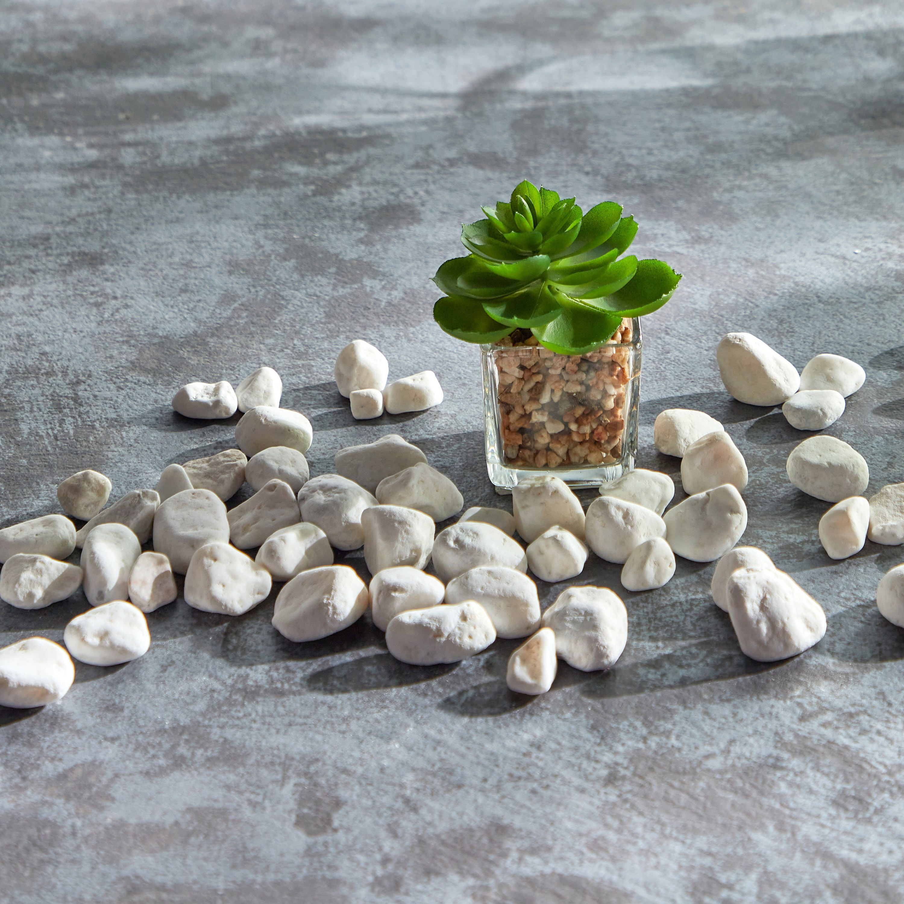 Petaluma Mini Succulent in Glass Pot - 9 cm-household-gardenandoutdoor-artificialplants-succulents-image-3