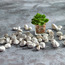نبات اصطناعي داخل إناء زجاجي - 9 سم-household-gardenandoutdoor-artificialplants-succulents-image-1